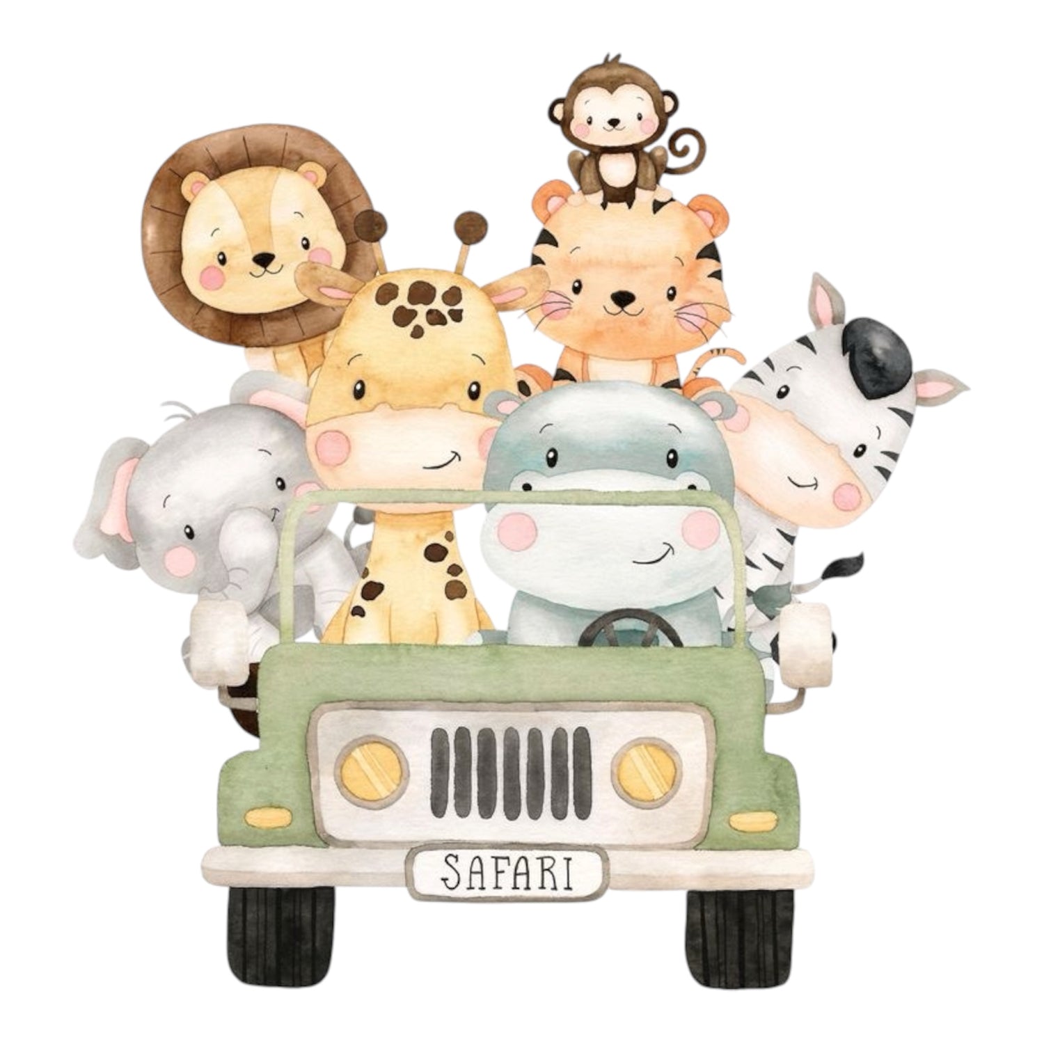 Safari