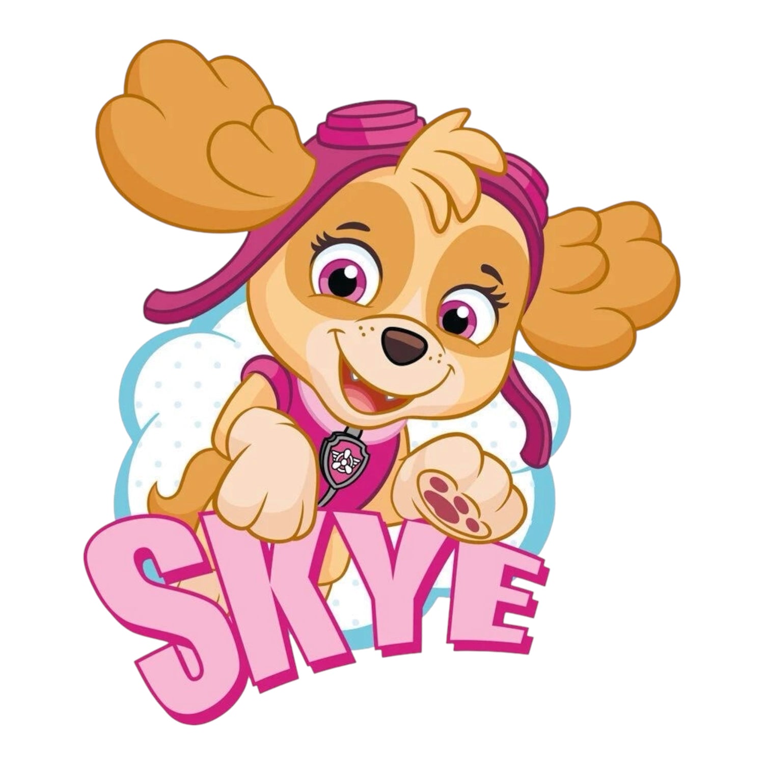 Skye Paw Patrol