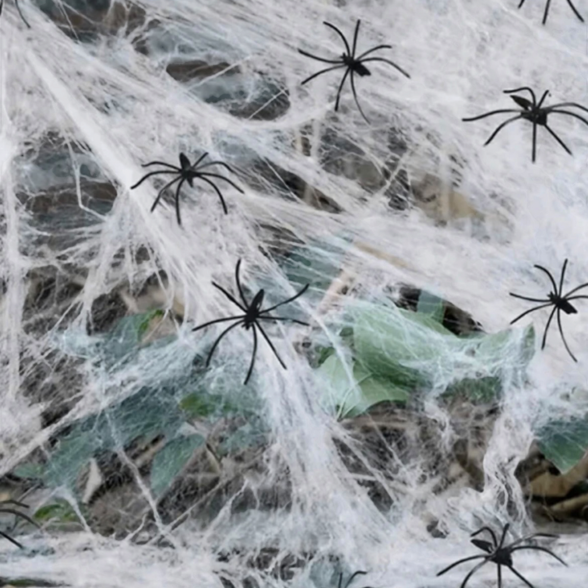 White Stretchable Spider Web